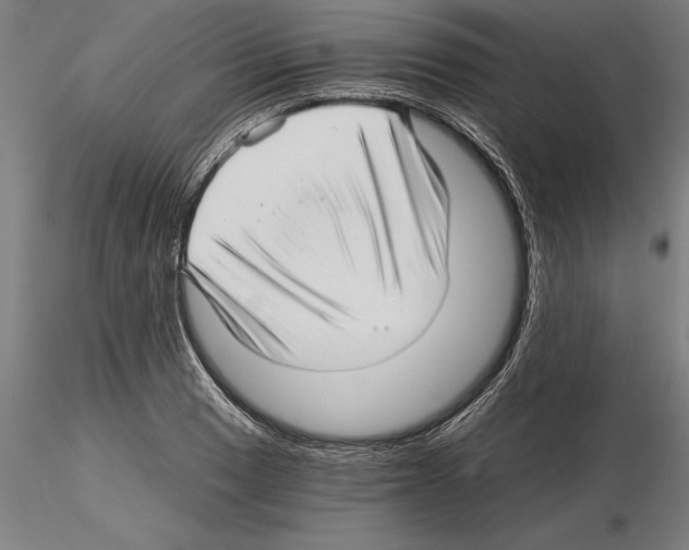 X0000115271033200912111158