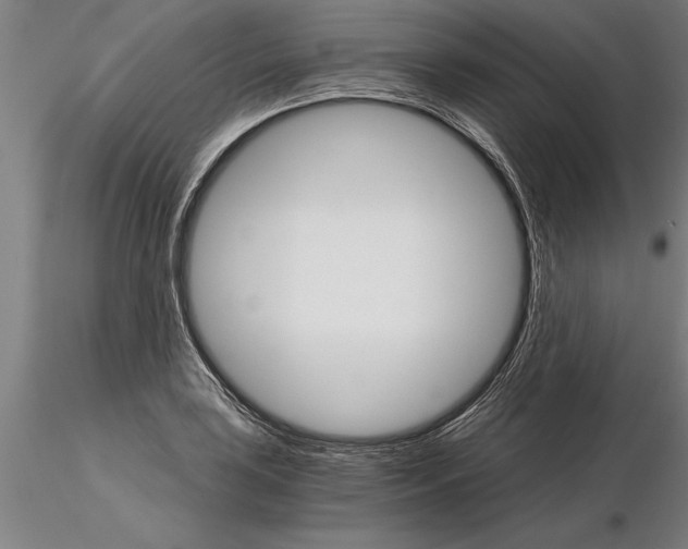 X0000115271035200912111158