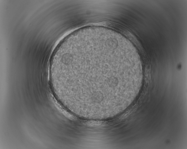 X0000115271036200912111158