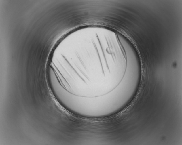 X0000115271037200912111158