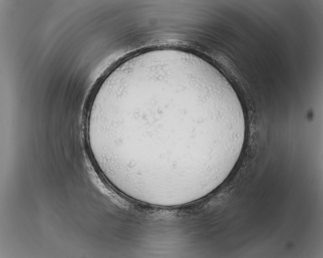 X0000115271038200912111158