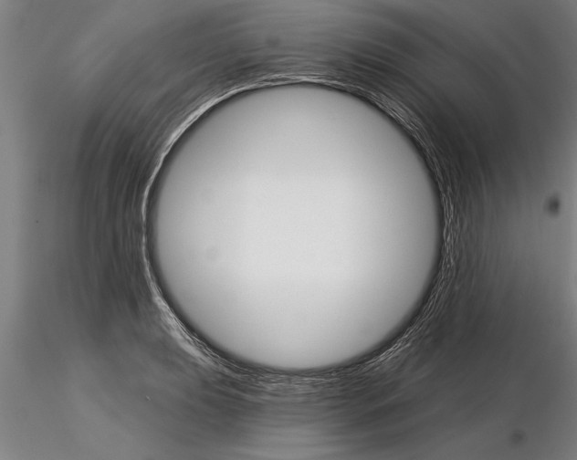 X0000115271039200912111158