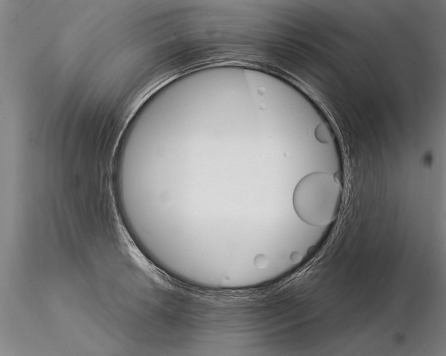 X0000115271042200912111158