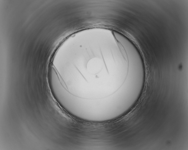 X0000115271043200912111158