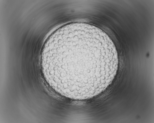 X0000115271044200912111158