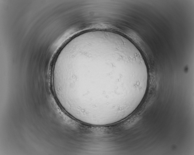 X0000115271046200912111158