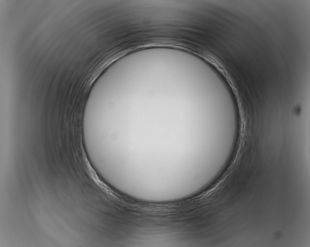 X0000115271049200912111158