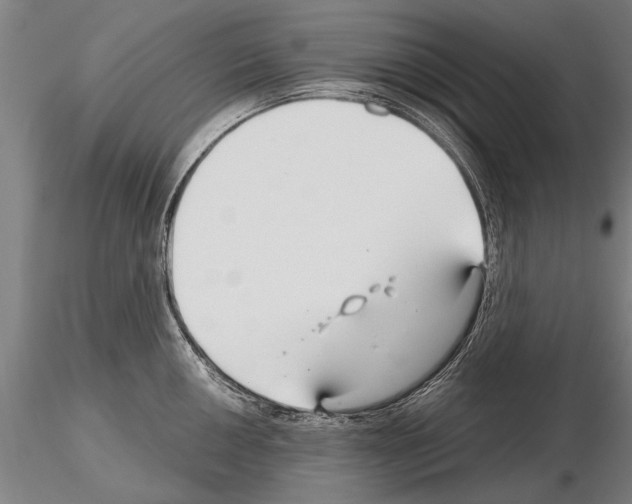 X0000115271050200912111158