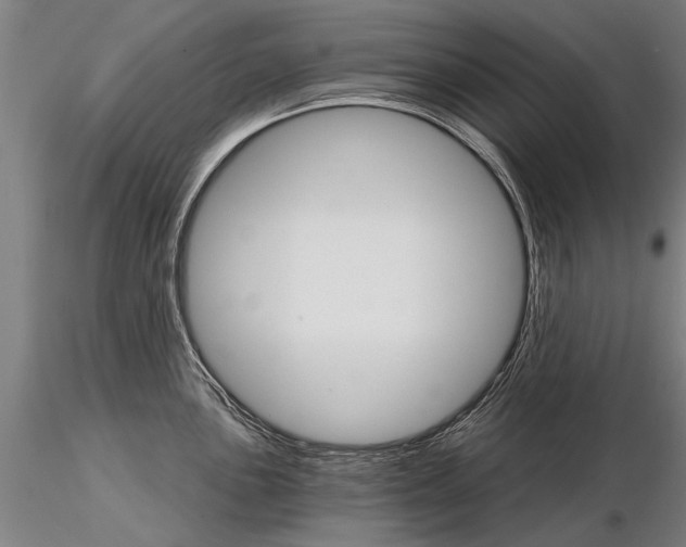 X0000115271051200912111158