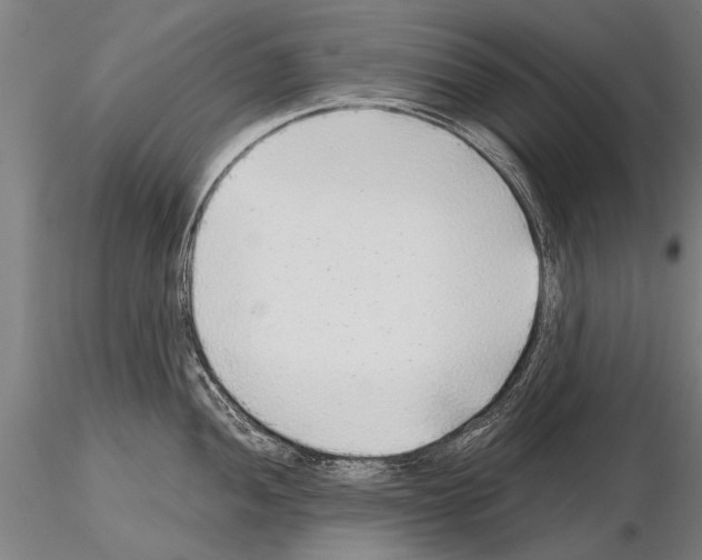 X0000115271052200912111158