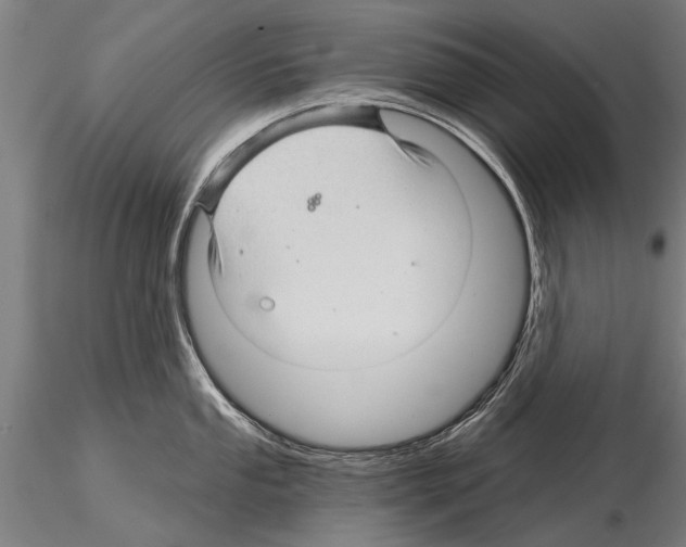 X0000115271053200912111158