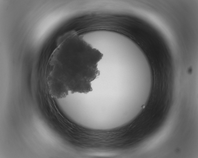 X0000115271054200912111158