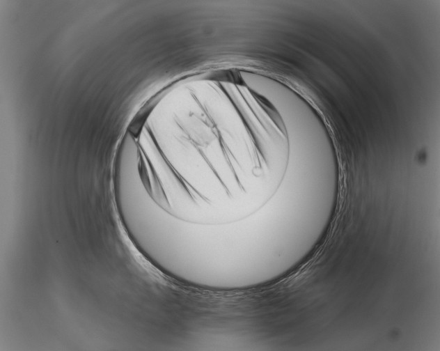 X0000115271055200912111158