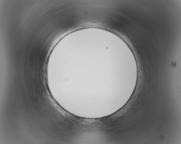 X0000115271056200912111158