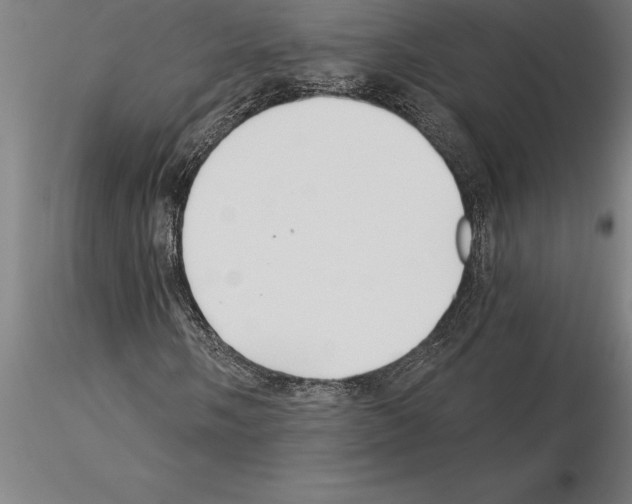 X0000115271058200912111158