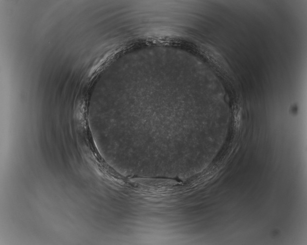 X0000115271060200912111158