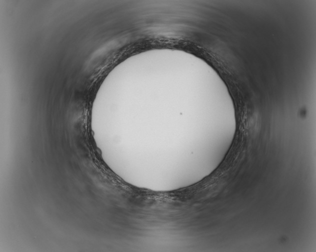 X0000115271061200912111158