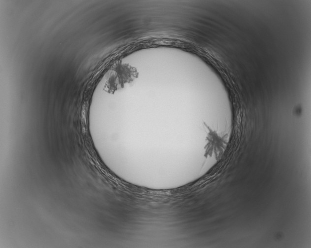 X0000115271062200912111158