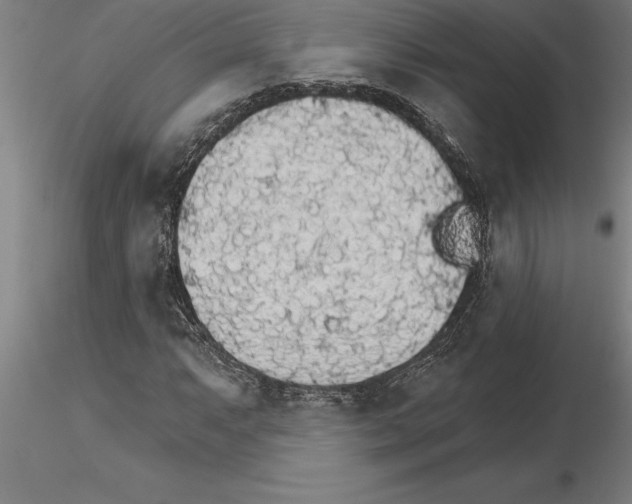 X0000115271063200912111158