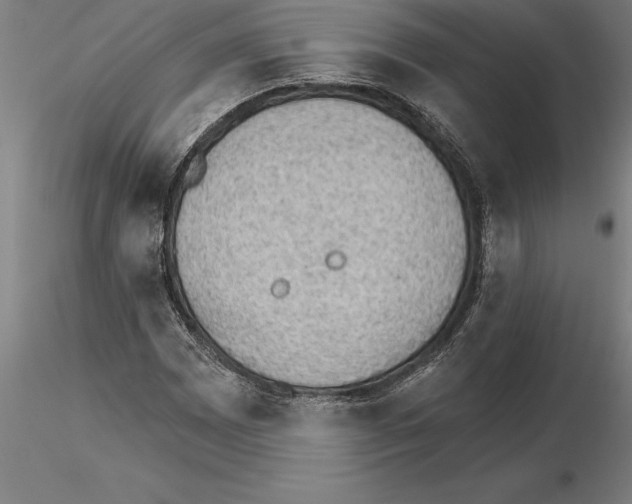 X0000115271065200912111158