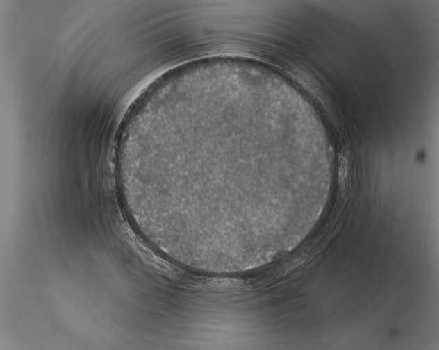 X0000115271068200912111158