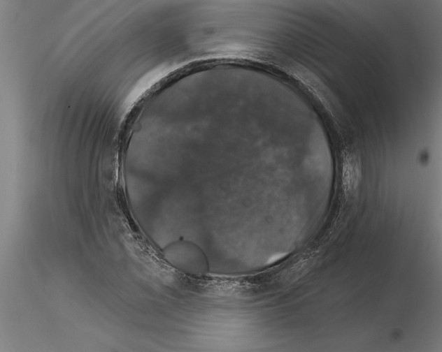 X0000115271069200912111158