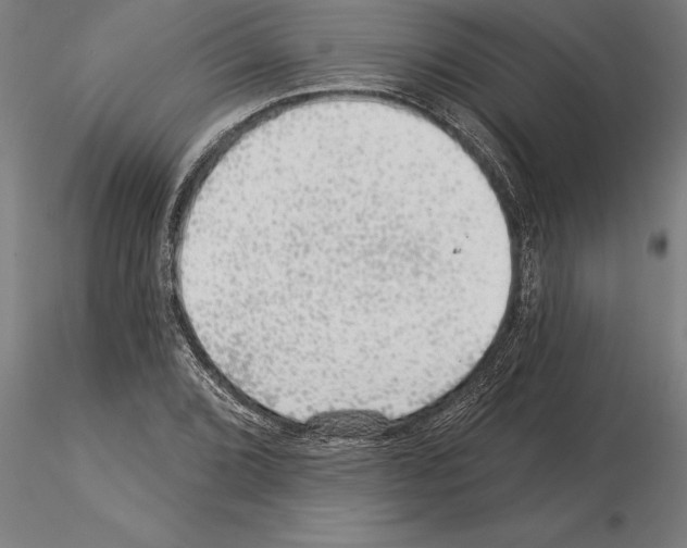 X0000115271072200912111158