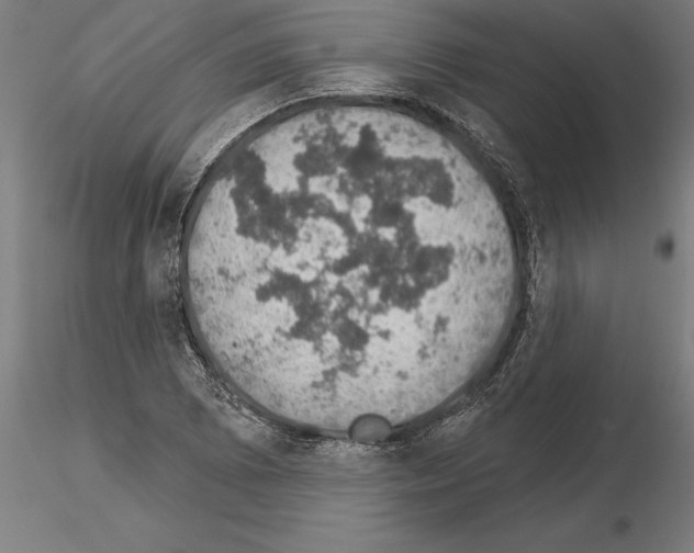 X0000115271073200912111158