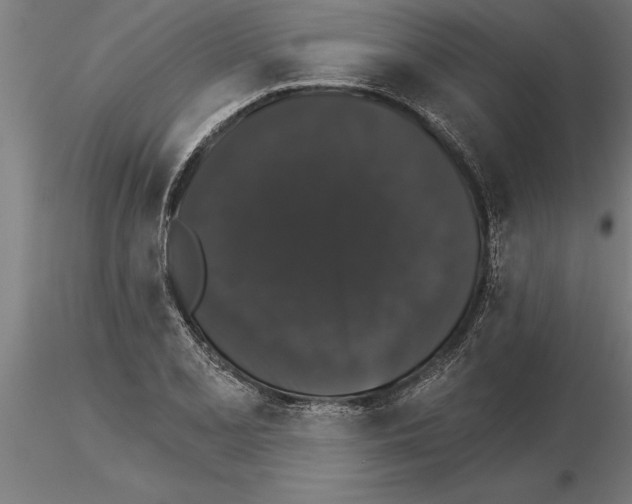 X0000115271077200912111157