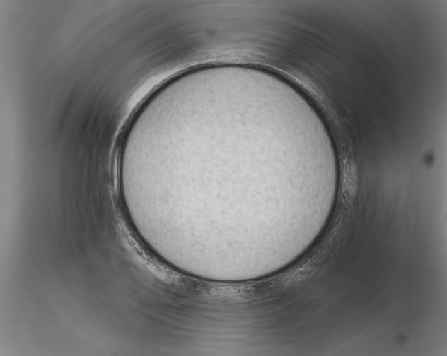 X0000115271078200912111157