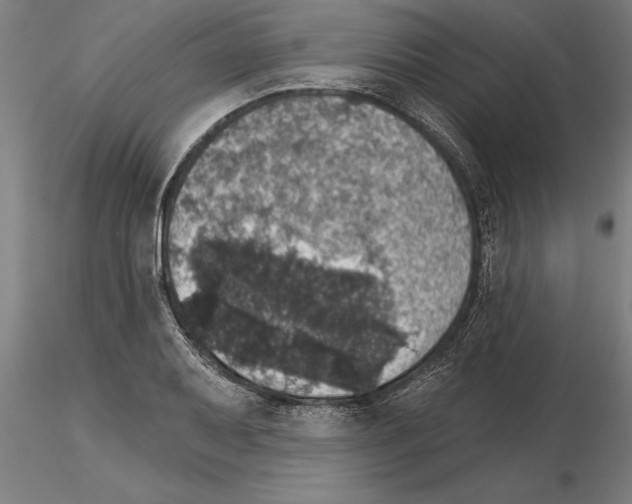 X0000115271079200912111157