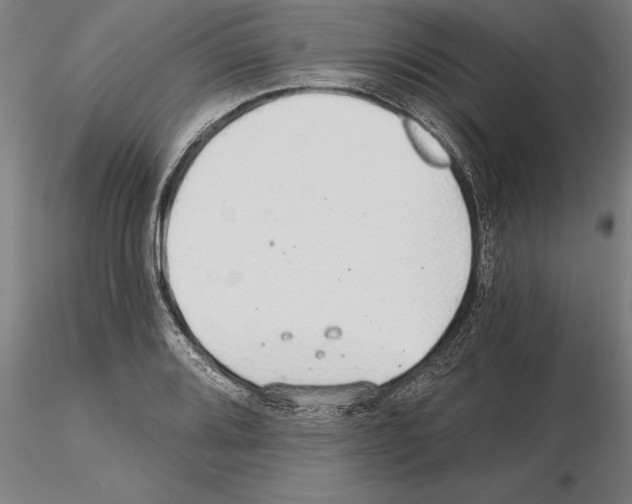 X0000115271080200912111157