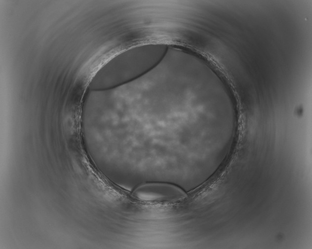 X0000115271081200912111157