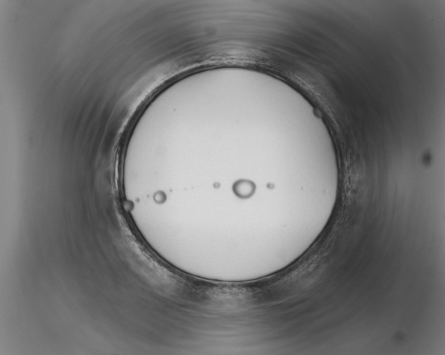 X0000115271083200912111157