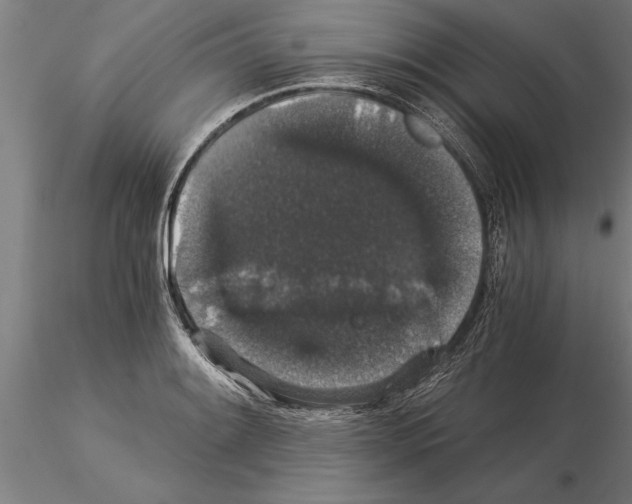 X0000115271084200912111157