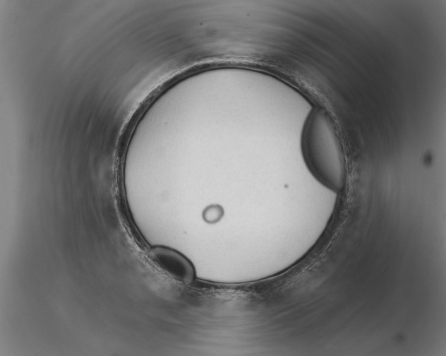 X0000115271085200912111157