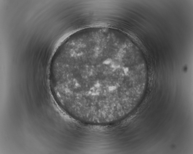 X0000115271086200912111157