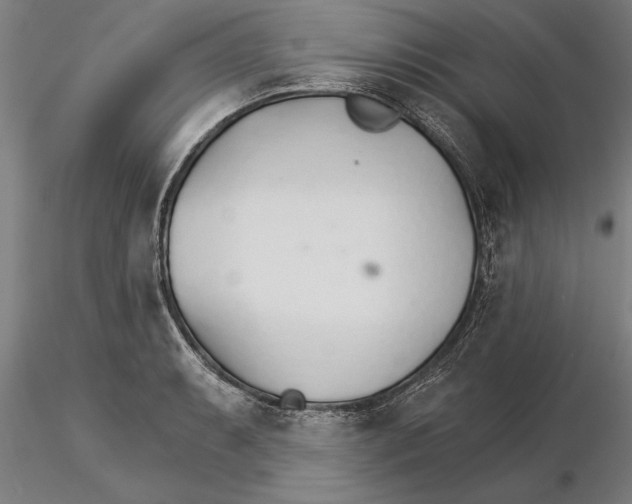 X0000115271087200912111157