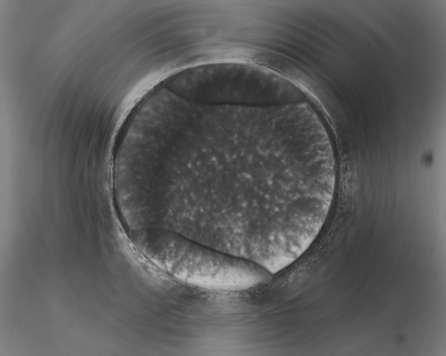 X0000115271088200912111157