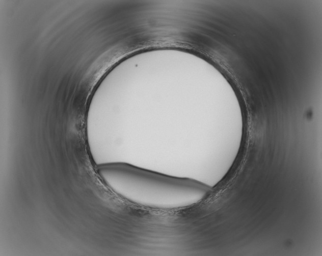 X0000115271089200912111157