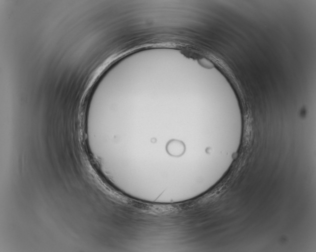 X0000115271091200912111157