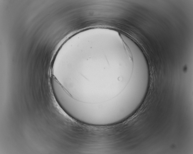 X0000115271092200912111157