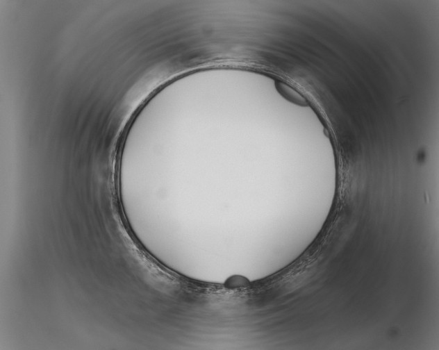 X0000115271099200912111157