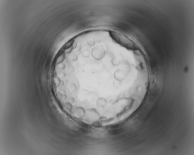 X0000115271101200912111157