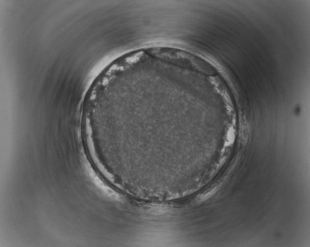 X0000115271102200912111157