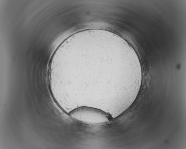 X0000115271103200912111157