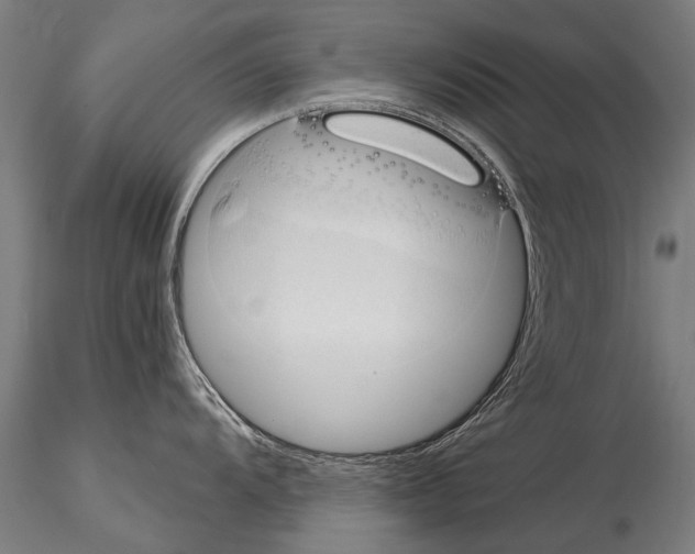 X0000115271104200912111157