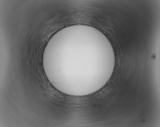 X0000115271105200912111156