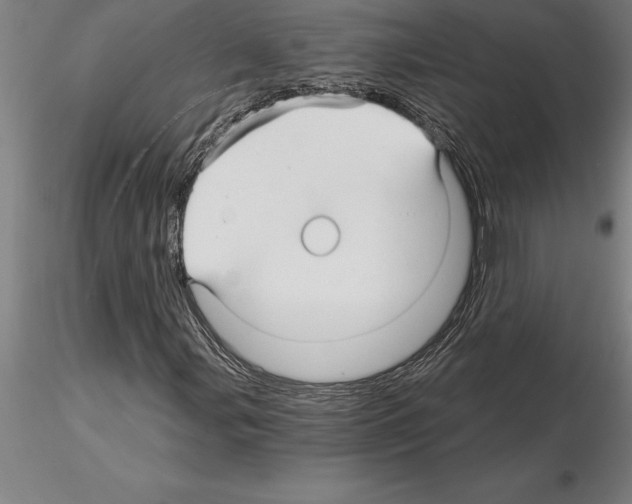 X0000115271107200912111156