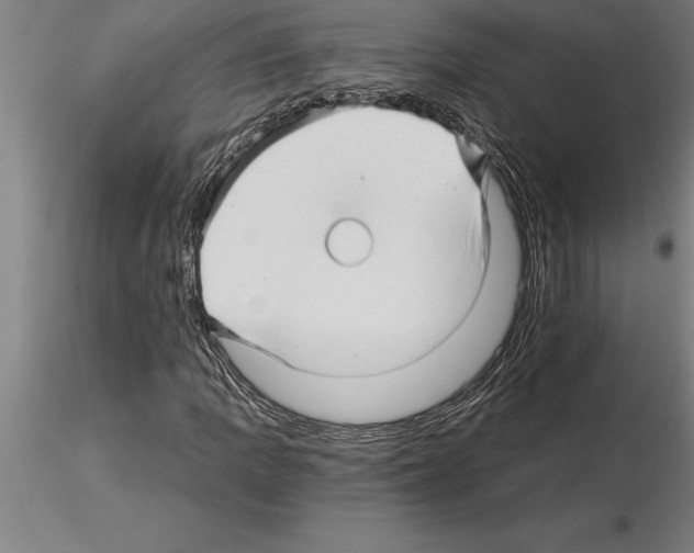 X0000115271109200912111157